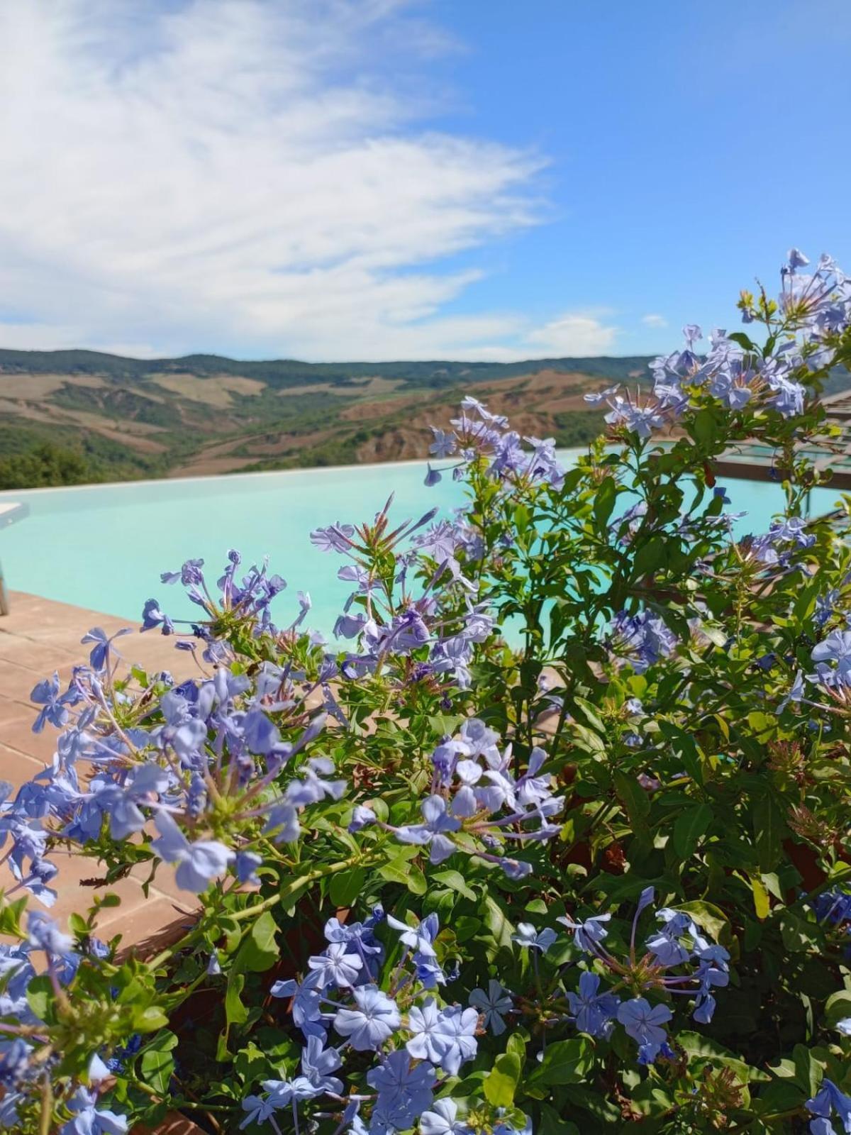 La Fonte Carducciana Villa ซานกัสชาโน ดี บาญญี ภายนอก รูปภาพ
